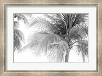 Breezy III Fine Art Print