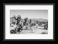 Road Trip III Fine Art Print