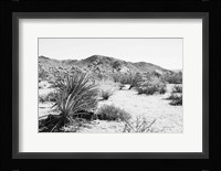 Road Trip II Fine Art Print