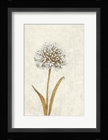 Shimmering Summer I Ivory Fine Art Print