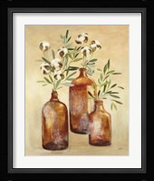 Cotton Still Life III Fine Art Print