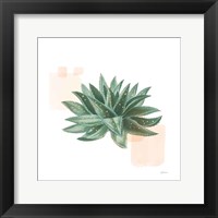 Desert Color Succulent II Fine Art Print