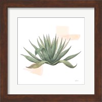 Desert Color Succulent I Fine Art Print