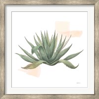 Desert Color Succulent I Fine Art Print
