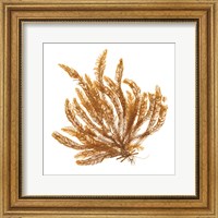 Pacific Sea Mosses VII White Sq Fine Art Print