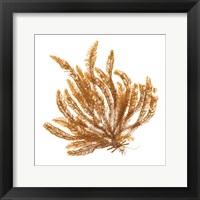 Pacific Sea Mosses VII White Sq Fine Art Print