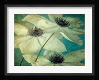 Klema Fine Art Print