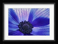 Windsong Fine Art Print