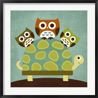 Three Owls on Turtle Fine Art Print