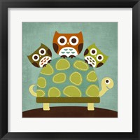 Three Owls on Turtle Fine Art Print