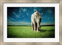 Elephant Carry Me Fine Art Print