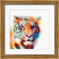 The Elusive II Fine Art Print