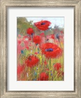 In the Poppy Field Fine Art Print