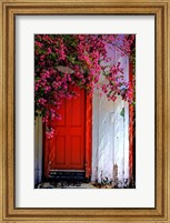 Red Door Fine Art Print