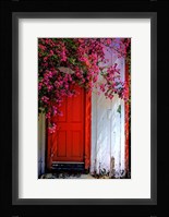 Red Door Fine Art Print