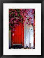 Red Door Fine Art Print