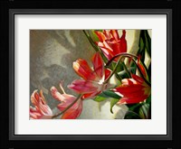 Shades of Holland Fine Art Print