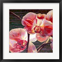 Show Offs Fine Art Print