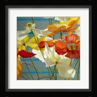 Stripes and Solids Fine Art Print