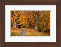 Autumn Home Fine Art Print