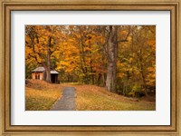 Autumn Home Fine Art Print