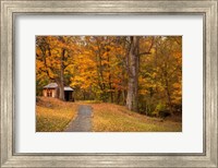 Autumn Home Fine Art Print