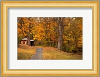 Autumn Home Fine Art Print