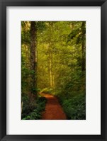 Fairytale Path Fine Art Print