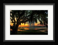 Savannah Evening Fine Art Print