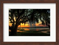 Savannah Evening Fine Art Print