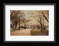 Springtime Stroll Fine Art Print