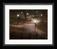 Twilight Stroll Fine Art Print