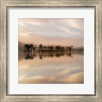 Dawn Mist on the Amazon Fine Art Print