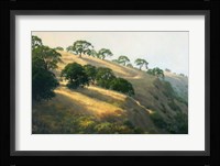 Afternoon Shadows Fine Art Print