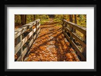 Fall On The Footbridge Fine Art Print