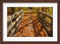 Fall On The Footbridge Fine Art Print