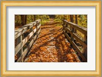 Fall On The Footbridge Fine Art Print