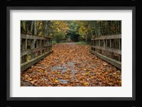 Fall on the Goose (Victoria) Fine Art Print