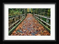 Galloping Goose Fine Art Print