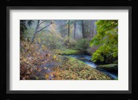 Snow in Fall Fine Art Print