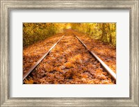Train Tracks in The Fall Fine Art Print
