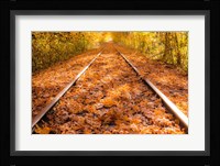 Train Tracks in The Fall Fine Art Print