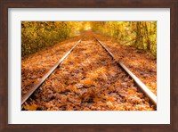 Train Tracks in The Fall Fine Art Print