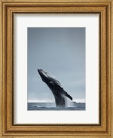 40 Ton Fine Art Print