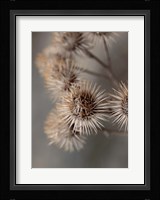 Avantgarde Fine Art Print