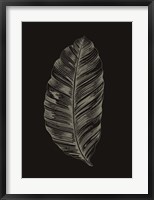 Black Leaf Fine Art Print