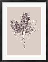 Botanica 3 Fine Art Print
