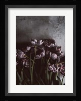 Dark Tulips Fine Art Print