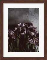 Dark Tulips Fine Art Print