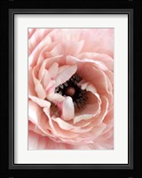 Flower Fine Art Print